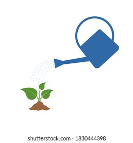 Watering a young plant from a watering can isolated on white. Green plant growing from the soil. Vector illustration. Flat style