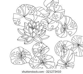 Waterlilies, forest wild plant, lotus pond, zen garden. Vector. Hand drawn artwork. Bohemia concept for branding, logo, label. Coloring book page for adult. Black and white