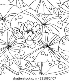 Waterlilies isolated on white, forest wild plant, lotus pond, zen garden. Vector. Hand drawn artwork. Bohemia concept for branding, logo, label. Coloring book page for adult. Black and white