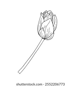 Wasserlily schließen Lotusblume mit Stamm monochrome Vektor einzelne Illustration Clip Art. Blühende Wasserlilie Knospe handgezeichnete Linie Kunst schwarze Tinte Skizze. Für Poster, Hochzeitsdesign, Ikone, Tattoo.