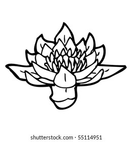 dibujo de lirios de agua