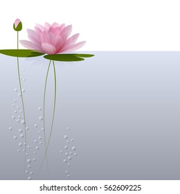 Waterlily on the water. Vector illustration for invitation, menu, banner