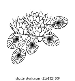 waterlily in pond blooming petal with leaves line art illustration for coloring page