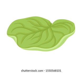 Waterlily Sepal With Leaf Venetion Flower Part Vector Illustration