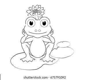 waterlily toad