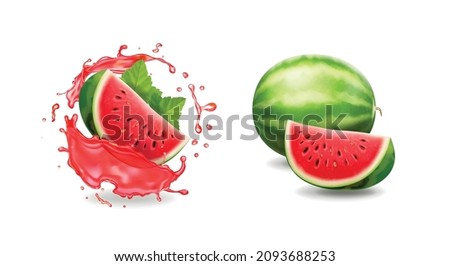 Watermelon 3d realistic , fruit in watermelon transparent red juice splash vector