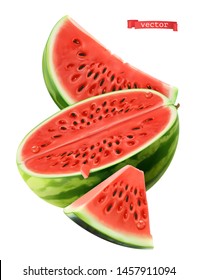 Watermelon, 3d Realistic Vector Icon