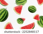 Watermelon background. Flying whole and sliced watermelon fruits with blurry effect. Can be used for advertising, packaging, banner, poster, print. Realistic 3d vector design