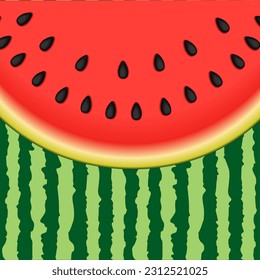 Watermelon background vector illustration, summer concept.