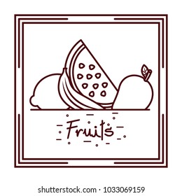  watermelon banana mango and lemon fruits doodle design