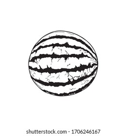 Watermelon. Black and white doodle cartoon, vector illustration.