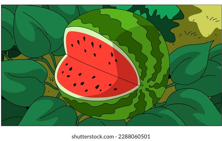 watermelon carton. vector watermelon. simple watermelon design for editing or children's book needs. simple flat vector design