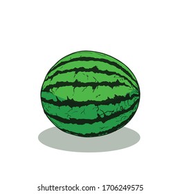 Watermelon cartoon isolated, vector illustration.
