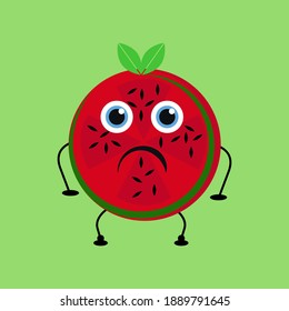 Watermelon characters with pissed off expressions are included in the flat vector type and EPS 10.