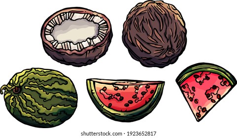 Watermelon and coconut set, fruit, berry, nature, wild, palm, greengrocer, coconut, isolated, white, cartoon style, summer, eat, eating, shop, magazine, holidays, meal, food, children, kids, cut, red