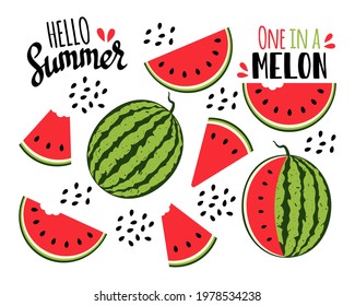 Watermelon collection. Watermelon slices and seeds. Vector illustration