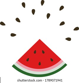 watermelon color flat icons, vector