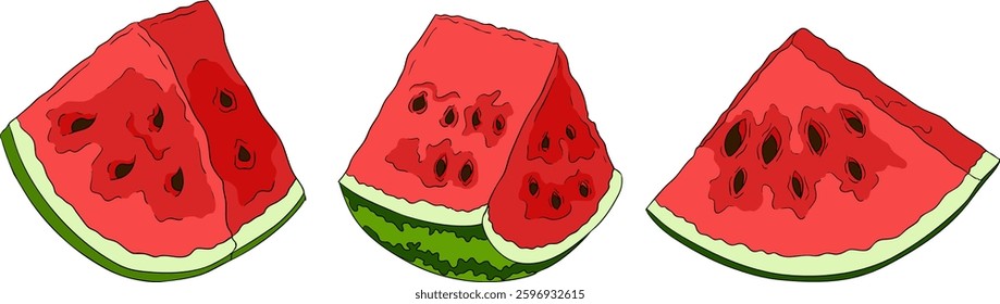 Watermelon colored illustration set. Watermelon fruit vector set. Illustration of watermelon freshness nature