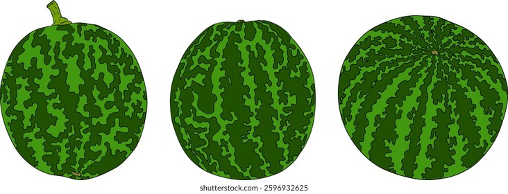 Watermelon colored illustration set. Watermelon fruit vector set. Illustration of watermelon freshness nature