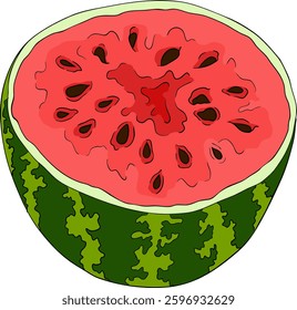 Watermelon colored illustration set. Watermelon fruit vector set. Illustration of watermelon freshness nature