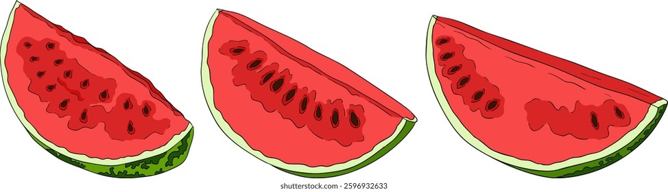 Watermelon colored illustration set. Watermelon fruit vector set. Illustration of watermelon freshness nature