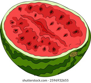 Watermelon colored illustration set. Watermelon fruit vector set. Illustration of watermelon freshness nature
