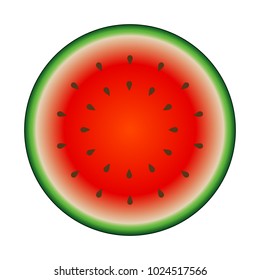 Watermelon colorful icon isolated on white. Circle red green watermelon illustration vector.