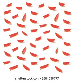 Watermelon colorful, modern, stylish background