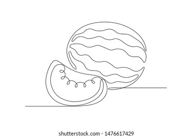 Watermelon in continious line art drawing style. Minimalist black line sketch on white background. Vector illustration