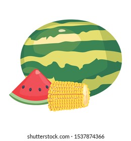 watermelon corn fresh food vector illustration design