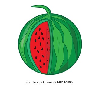 Watermelon with a cut piece of watermelon in isolate on a white background. Vector illustration.