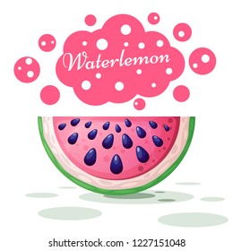 Watermelon cute illustration on the white background. Vector eps 10