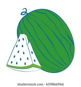 Watermelon delicious fruit