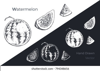 Watermelon - detailed hand drawn art illustration. black ink on white background & white chalk on dark. isolated vector 4 design packing juice & blackboards