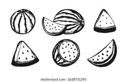 Watermelon Doodle Hand Drawn Icons Set. Vector Cartoon Collection Sketch Ripe Fruit Pieces, Halved and Sliced, whole watermelons, rind, seed. Fresh organic fruit. Sweet desserts. Healthy vegan food.
