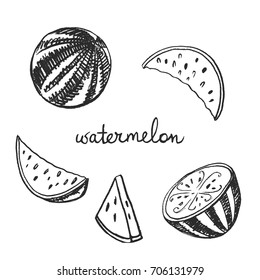 Watermelon. Doodle pencil drawn fruits in black and white. Hand drawn vector illustration