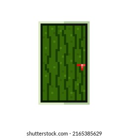 Watermelon door pixel art. Vector illustration.