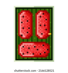 Watermelon door pixel art. Vector illustration.