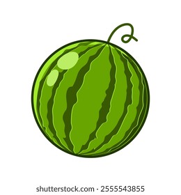 Watermelon drawing in a simple style. You can use it for children books, web design, posters, campaigns, and many more. 