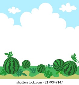 Watermelon Field Background in Summer Scenery