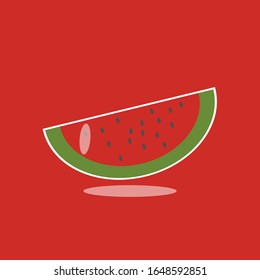 watermelon flat design illustration with background