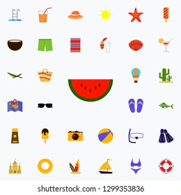 watermelon flat icon. colored Summer icons universal set for web and mobile