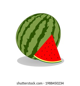 watermelon flat vector. watermelon cartoon for school book