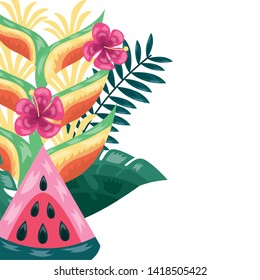 watermelon flowers leaves tropical fruits foliage vector illustration