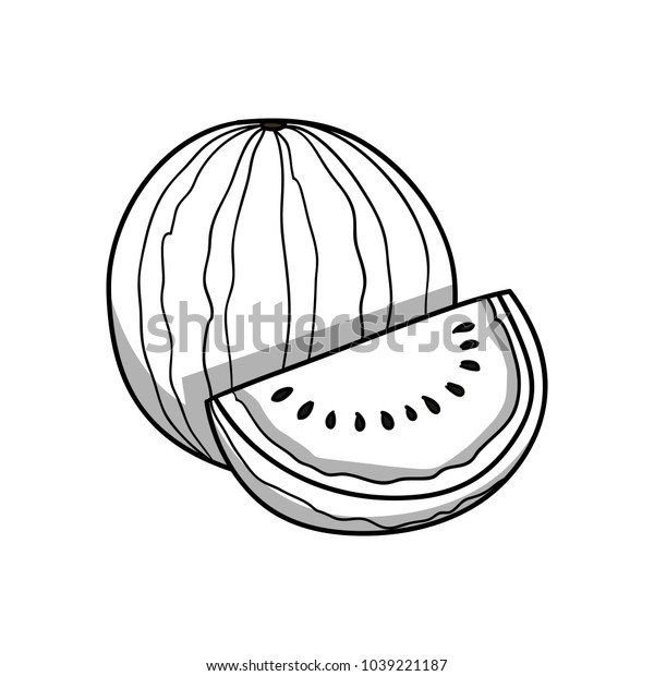 スイカ 食べ物のアイコン 白黒の落書き風漫画 ベクターイラスト のベクター画像素材 ロイヤリティフリー
