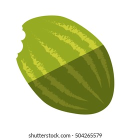 watermelon fresh fruit isolated icon vector illustration design