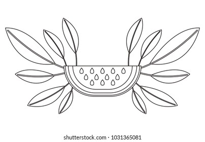 watermelon fresh fruit slice with leafs