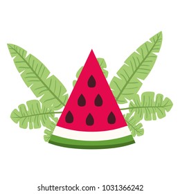 watermelon fresh fruit slice with leafs