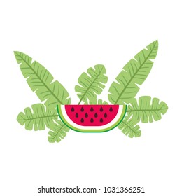 watermelon fresh fruit slice with leafs