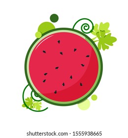 watermelon. Fresh watermelon. Healthy Fruit. vector illustration